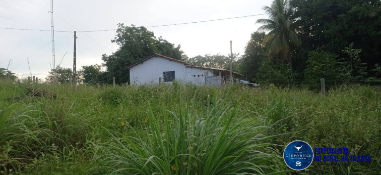 Imagem Fazenda à Venda, 86 m² em Zona Rural - Montes Claros De Goiás Imagem Fazenda à Venda, 86 m² em Zona Rural - Montes Claros De Goiás