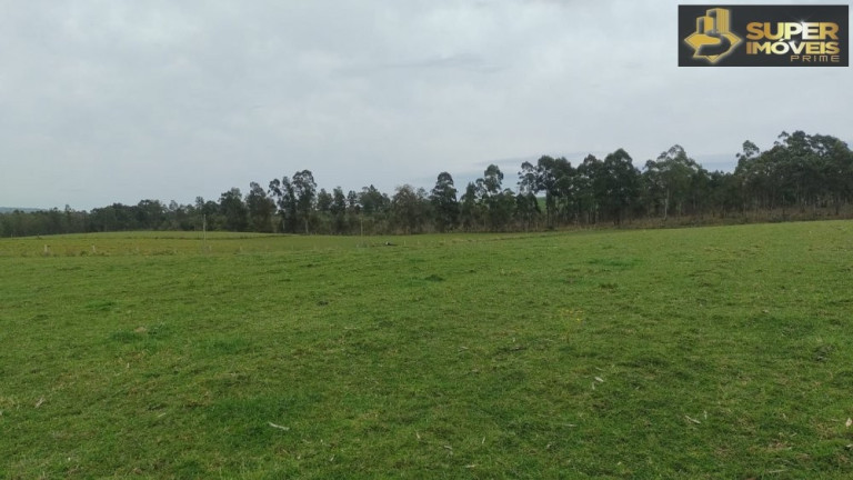 Imóvel à Venda, 500.000 m² em Zona Rural - Canguçu