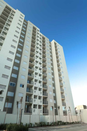 Imagem Apartamento com 3 Quartos à Venda, 60 m² em Vila Guilherme - São Paulo