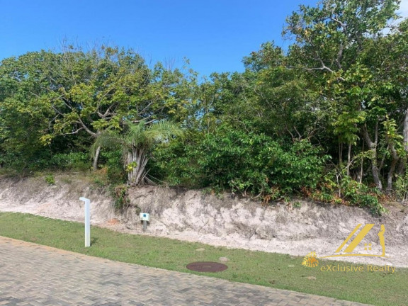 Imagem Casa de Condomínio com 6 Quartos à Venda, 400 m² em Praia Do Forte - Mata De São João Imagem Casa de Condomínio com 6 Quartos à Venda, 400 m² em Praia Do Forte - Mata De São João
