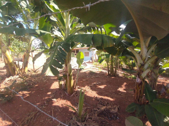 Imagem Chácara com 1 Quarto à Venda, 45 m² em Mateus Leme