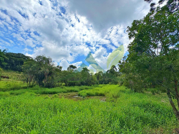 Imagem Chácara com 6 Quartos à Venda, 54.000 m² em Portão - Atibaia
