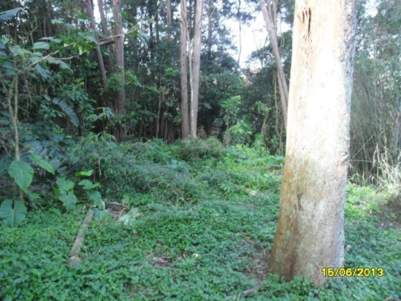 Imagem Terreno à Venda, 5.000 m² em Pq Paraiso - Itapecerica Da Serra Imagem Terreno à Venda, 5.000 m² em Pq Paraiso - Itapecerica Da Serra