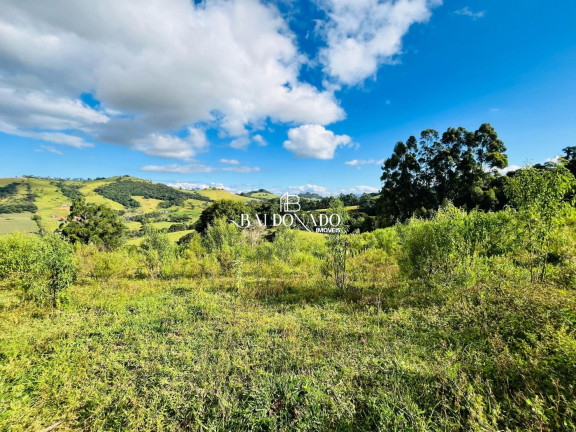 Imagem Fazenda à Venda, 24.000 m² em Centro - Itapeva Imagem Fazenda à Venda, 24.000 m² em Centro - Itapeva