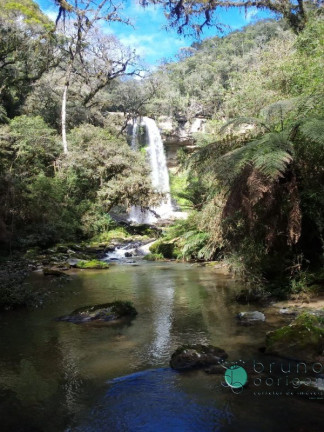 Imagem Imóvel à Venda, 1.600.000 m² em Zona Rural - Vidal Ramos Imagem Imóvel à Venda, 1.600.000 m² em Zona Rural - Vidal Ramos