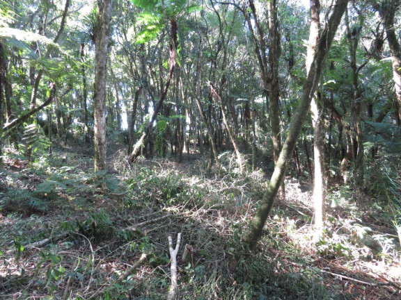 Imagem Terreno à Venda, 36.260 m² em Colonia Murici - São José Dos Pinhais Imagem Terreno à Venda, 36.260 m² em Colonia Murici - São José Dos Pinhais