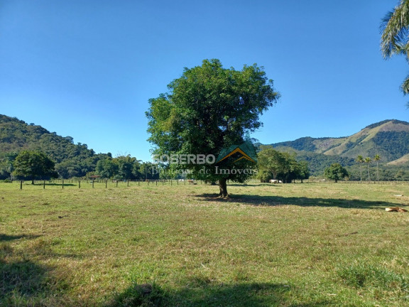 Imagem Imóvel com 8 Quartos à Venda, 6.000.000 m² em Gaviões - Silva Jardim Imagem Imóvel com 8 Quartos à Venda, 6.000.000 m² em Gaviões - Silva Jardim