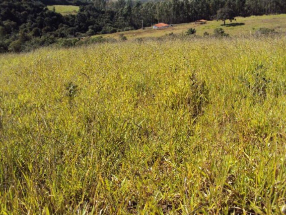 Imagem Imóvel com 2 Quartos à Venda, 266.200 m² em Zona Rural - Jacui