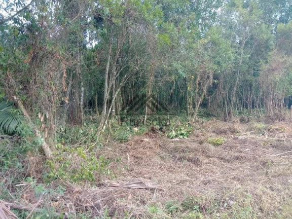Imagem Chácara à Venda, 1.250 m² em Jardim Aguapeú - Itanhaém Imagem Chácara à Venda, 1.250 m² em Jardim Aguapeú - Itanhaém