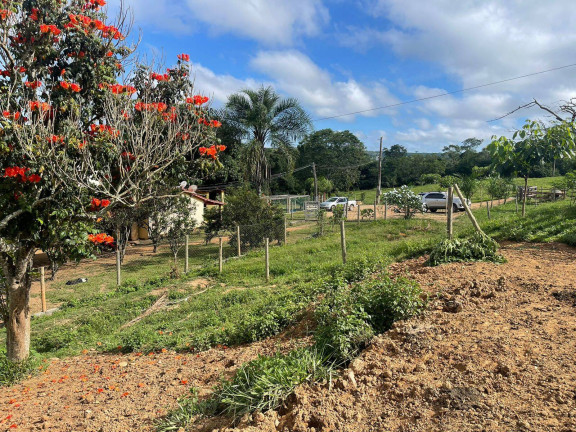Imagem Chácara à Venda, 12 m² em Zona Rural - Vianópolis Imagem Chácara à Venda, 12 m² em Zona Rural - Vianópolis