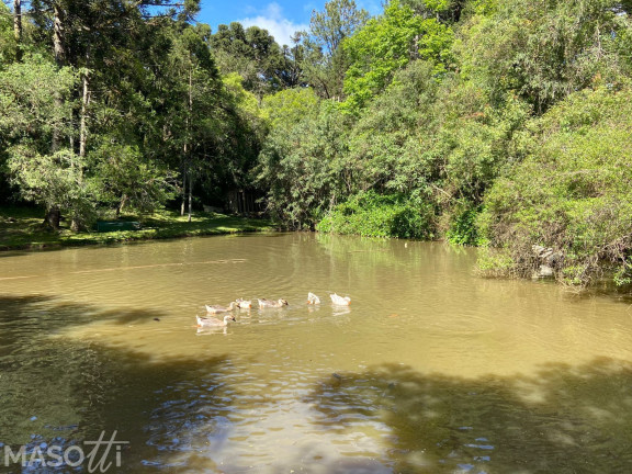 Imagem Chácara com 2 Quartos à Venda, 30.000 m² em Araripe - Gramado Imagem Chácara com 2 Quartos à Venda, 30.000 m² em Araripe - Gramado