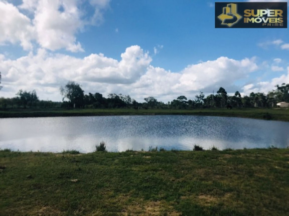 Imagem Imóvel com 7 Quartos à Venda, 120.000 m² em Monte Bonito - Pelotas Imagem Imóvel com 7 Quartos à Venda, 120.000 m² em Monte Bonito - Pelotas
