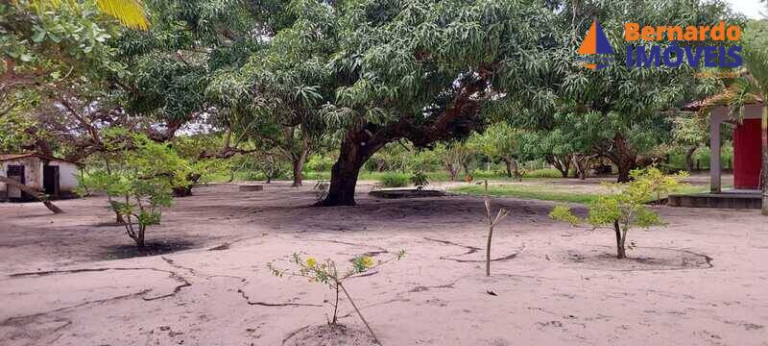 Imagem Chácara com 3 Quartos à Venda, 6 m² em Guanaces - Cascavel