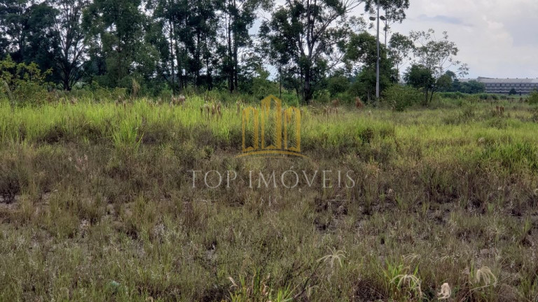 Imagem Galpão à Venda, 160.000 m² em Floradas Arboville - Jacareí