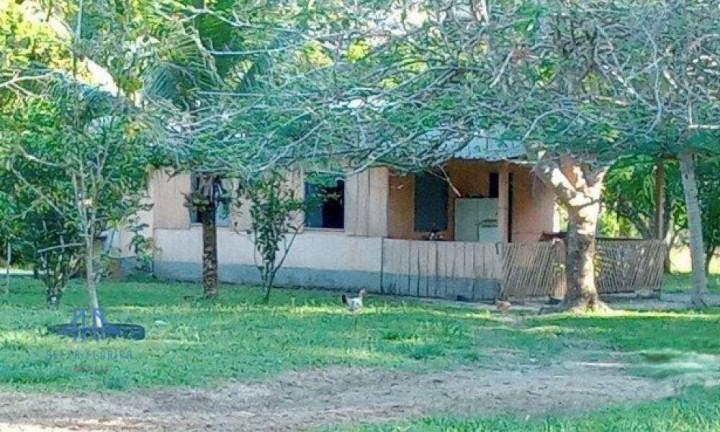 Imagem Fazenda à Venda, 2.190.000 m² em Alça Viaria - Acará Imagem Fazenda à Venda, 2.190.000 m² em Alça Viaria - Acará