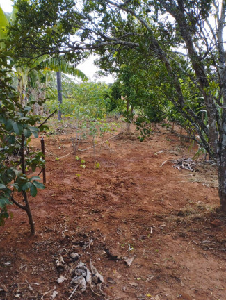 Imagem Chácara com 2 Quartos à Venda, 1.400 m² em Jardim Cananéia - Pilar Do Sul Imagem Chácara com 2 Quartos à Venda, 1.400 m² em Jardim Cananéia - Pilar Do Sul