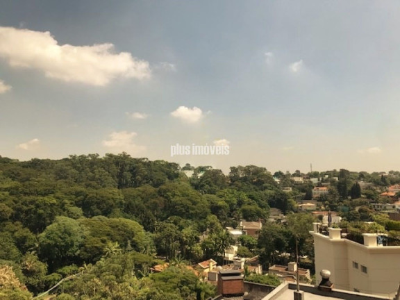 Imagem Apartamento com 4 Quartos à Venda, 310 m² em Real Parque - São Paulo Imagem Apartamento com 4 Quartos à Venda, 310 m² em Real Parque - São Paulo