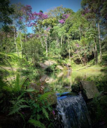 Imagem Chácara com 5 Quartos à Venda, 20 m² em Jardim Ouro Preto - Nova Friburgo Imagem Chácara com 5 Quartos à Venda, 20 m² em Jardim Ouro Preto - Nova Friburgo