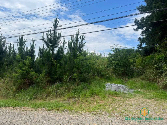 Imagem Terreno à Venda, 4 m² em Paisagem Renoir - Cotia
