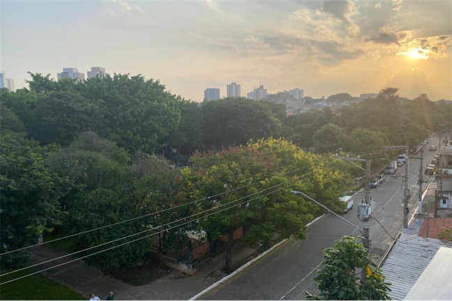 Imagem Apartamento com 2 Quartos para Alugar, 35 m² em Jardim Cidade Pirituba - São Paulo Imagem Apartamento com 2 Quartos para Alugar, 35 m² em Jardim Cidade Pirituba - São Paulo