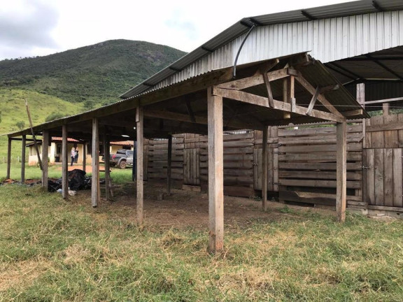 Imagem Fazenda à Venda, 90 m² em Zona Rural - Santa Rita Do Sapucaí Imagem Fazenda à Venda, 90 m² em Zona Rural - Santa Rita Do Sapucaí
