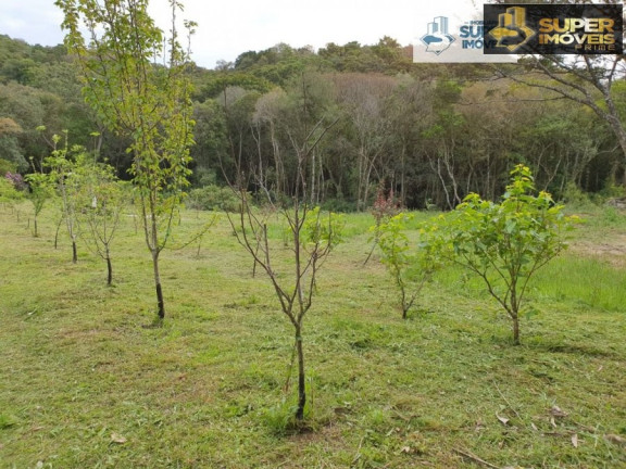 Imagem Imóvel com 1 Quarto à Venda, 30.000 m² em Cascata - Pelotas