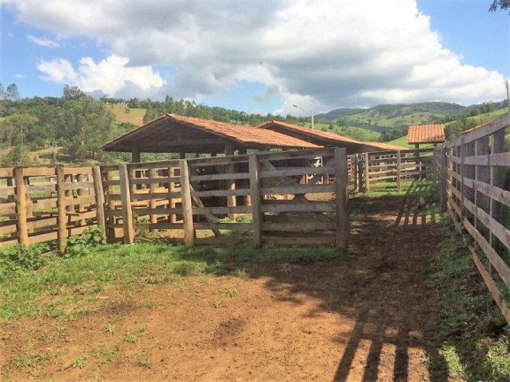 Imagem Imóvel com 3 Quartos à Venda, 448.000 m² em Roseta - Cambuí