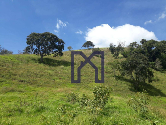 Imagem Fazenda à Venda, 360.000 m² em Cubatão - Marmelópolis