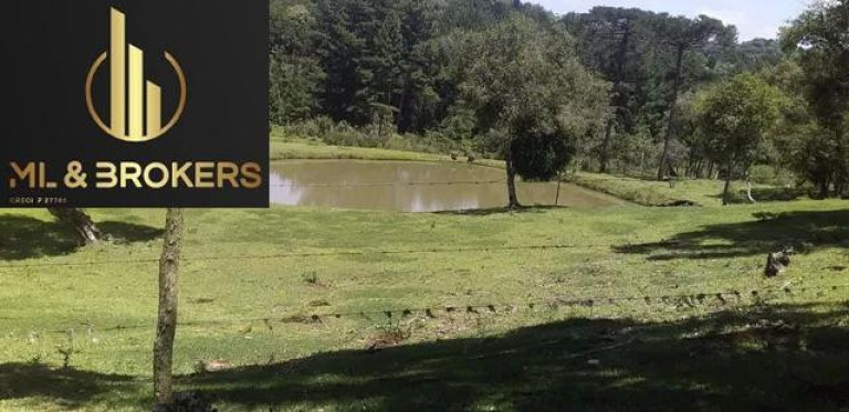 Imagem Imóvel com 2 Quartos à Venda, 81.000 m² em Agua Amarela - Antonio Olinto Imagem Imóvel com 2 Quartos à Venda, 81.000 m² em Agua Amarela - Antonio Olinto
