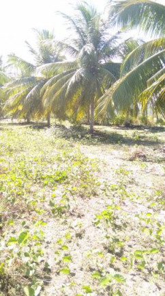 Imagem Terreno à Venda, 2 m² em São Cristóvão - Salvador
