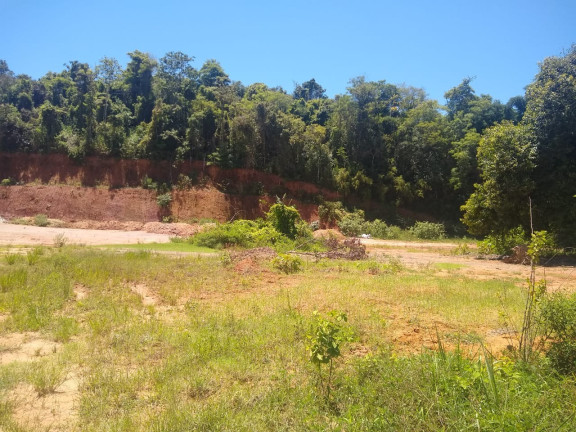 Imagem Imóvel à Venda, 8.000 m² em Jucu - Viana