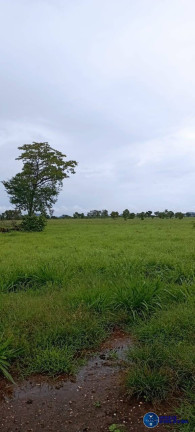 Imagem Fazenda à Venda, 294 m² em Zona Rural - Arraias Imagem Fazenda à Venda, 294 m² em Zona Rural - Arraias