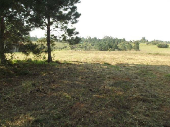 Imagem Terreno à Venda, 80.000 m² em águas Claras - Viamão