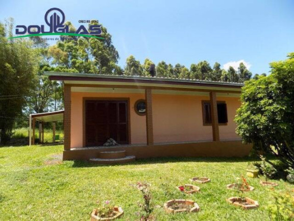 Imagem Chácara com 2 Quartos à Venda, 5.000 m² em Viamão