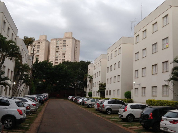 Imagem Apartamento com 2 Quartos à Venda, em Jardim Miranda - Campinas Imagem Apartamento com 2 Quartos à Venda, em Jardim Miranda - Campinas