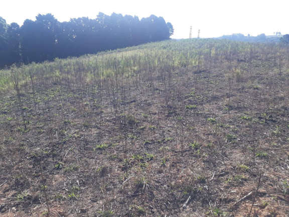 Imagem Terreno à Venda, 28.000 m² em Ortizes - Piedade Imagem Terreno à Venda, 28.000 m² em Ortizes - Piedade