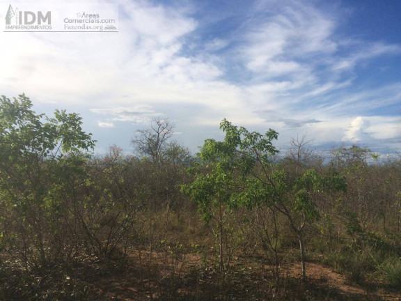 Imagem Chácara à Venda, 22.000.000 m² em Rural - São Romão Imagem Chácara à Venda, 22.000.000 m² em Rural - São Romão