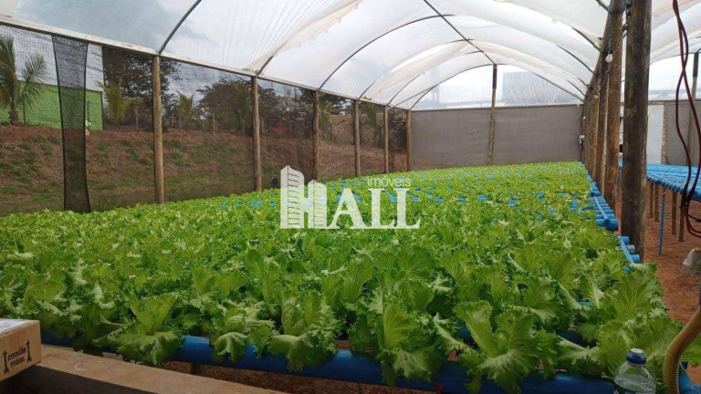 Imagem Fazenda à Venda, 500 m² em Centro - Bálsamo Imagem Fazenda à Venda, 500 m² em Centro - Bálsamo