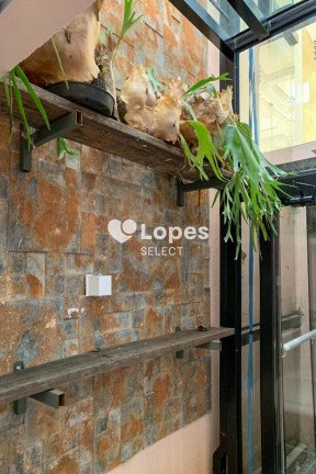 Imagem Imóvel com 4 Quartos à Venda, 300 m² em Swiss Park - Campinas Imagem Imóvel com 4 Quartos à Venda, 300 m² em Swiss Park - Campinas