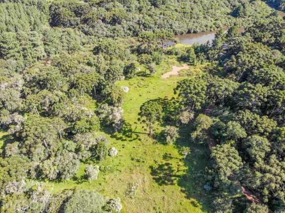 Imagem Chácara à Venda, 65.000 m² em Eletra - São Francisco De Paula Imagem Chácara à Venda, 65.000 m² em Eletra - São Francisco De Paula
