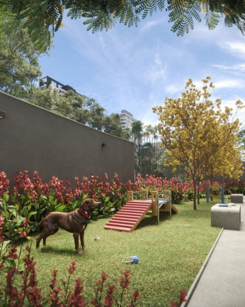 Imagem Apartamento com 2 Quartos à Venda, 42 m² em Paraíso - São Paulo Imagem Apartamento com 2 Quartos à Venda, 42 m² em Paraíso - São Paulo
