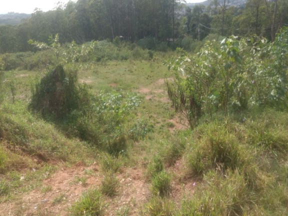 Imagem Terreno à Venda, 55.000 m² em Colônia (zona Leste) - São Paulo