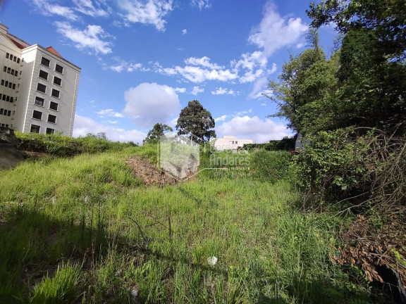 Imagem Terreno à Venda, 2.000 m² em Paineiras Do Morumbi - São Paulo Imagem Terreno à Venda, 2.000 m² em Paineiras Do Morumbi - São Paulo