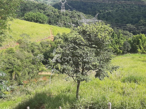 Imagem Chácara com 3 Quartos à Venda, 300 m² em Centro - Taubaté