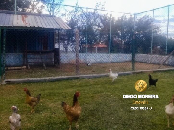 Imagem Chácara com 3 Quartos à Venda, 1.250 m² em Terra Preta - Mairiporã Imagem Chácara com 3 Quartos à Venda, 1.250 m² em Terra Preta - Mairiporã