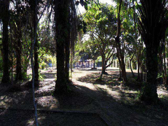 Imagem Terreno à Venda, 35.500 m² em Vila De Abrantes (abrantes) - Camaçari Imagem Terreno à Venda, 35.500 m² em Vila De Abrantes (abrantes) - Camaçari