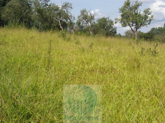 Imagem Imóvel com 3 Quartos à Venda, 302.500 m² em Zona Rural - Jacui