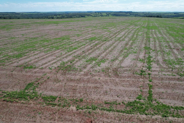 Imagem Fazenda à Venda, 74 m² em Zona Rural - Prata Imagem Fazenda à Venda, 74 m² em Zona Rural - Prata