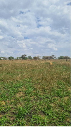Imagem Chácara à Venda, 400 m² em área Rural De Luziânia - Luziânia Imagem Chácara à Venda, 400 m² em área Rural De Luziânia - Luziânia