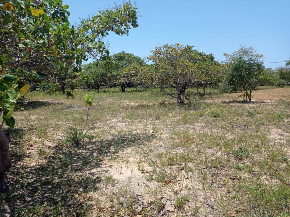 Imagem Terreno à Venda, 360 m² em Carapibus - Conde Imagem Terreno à Venda, 360 m² em Carapibus - Conde